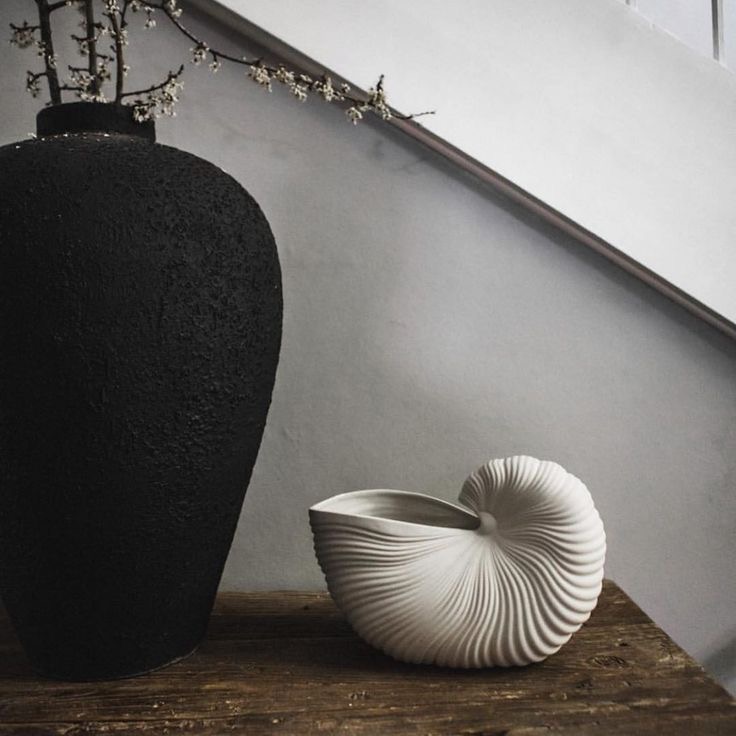 Moon shell vase 