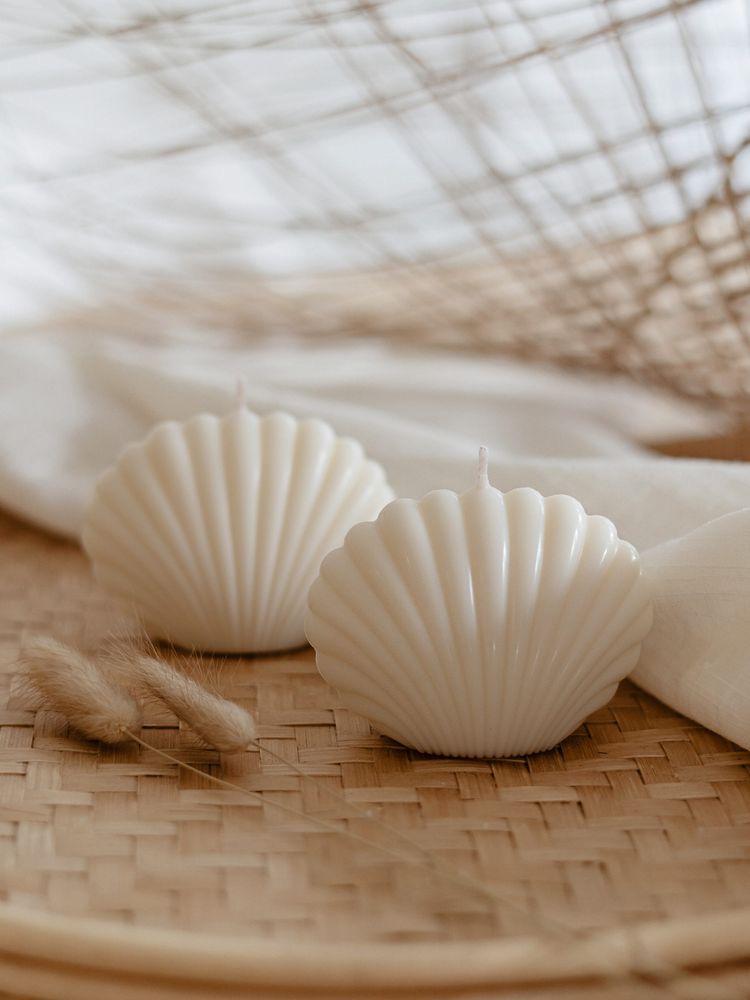 Sea shell medium 