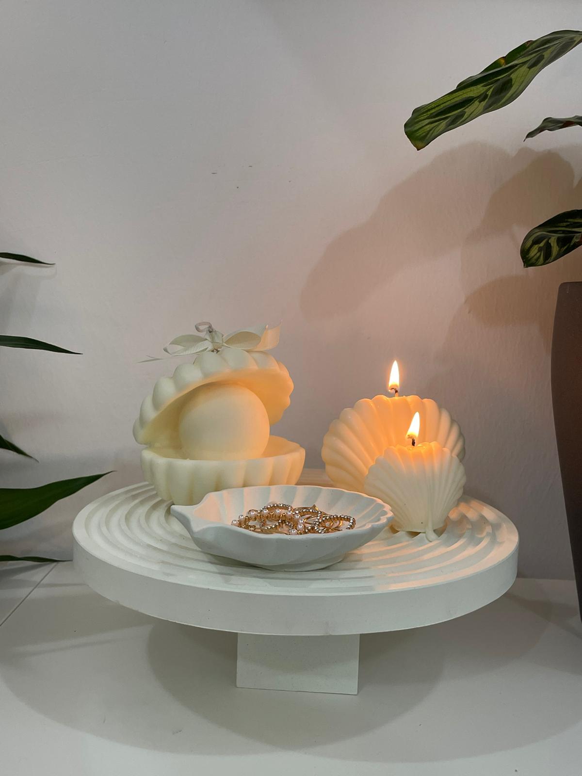 Sea shell candle collection
