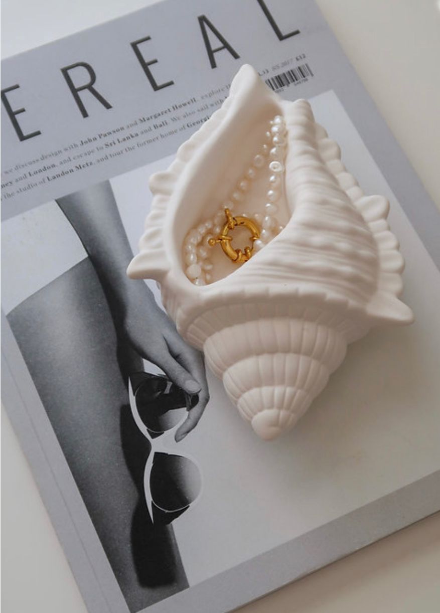 SEASHELL STONE DECOR