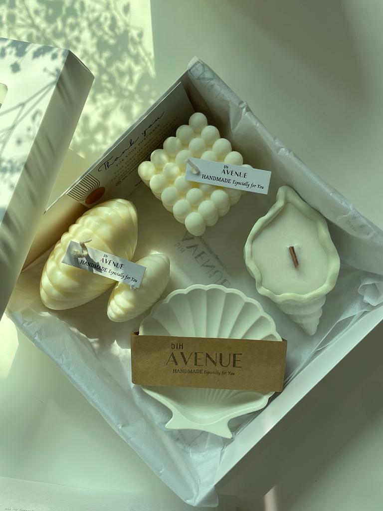 Classic shell collection