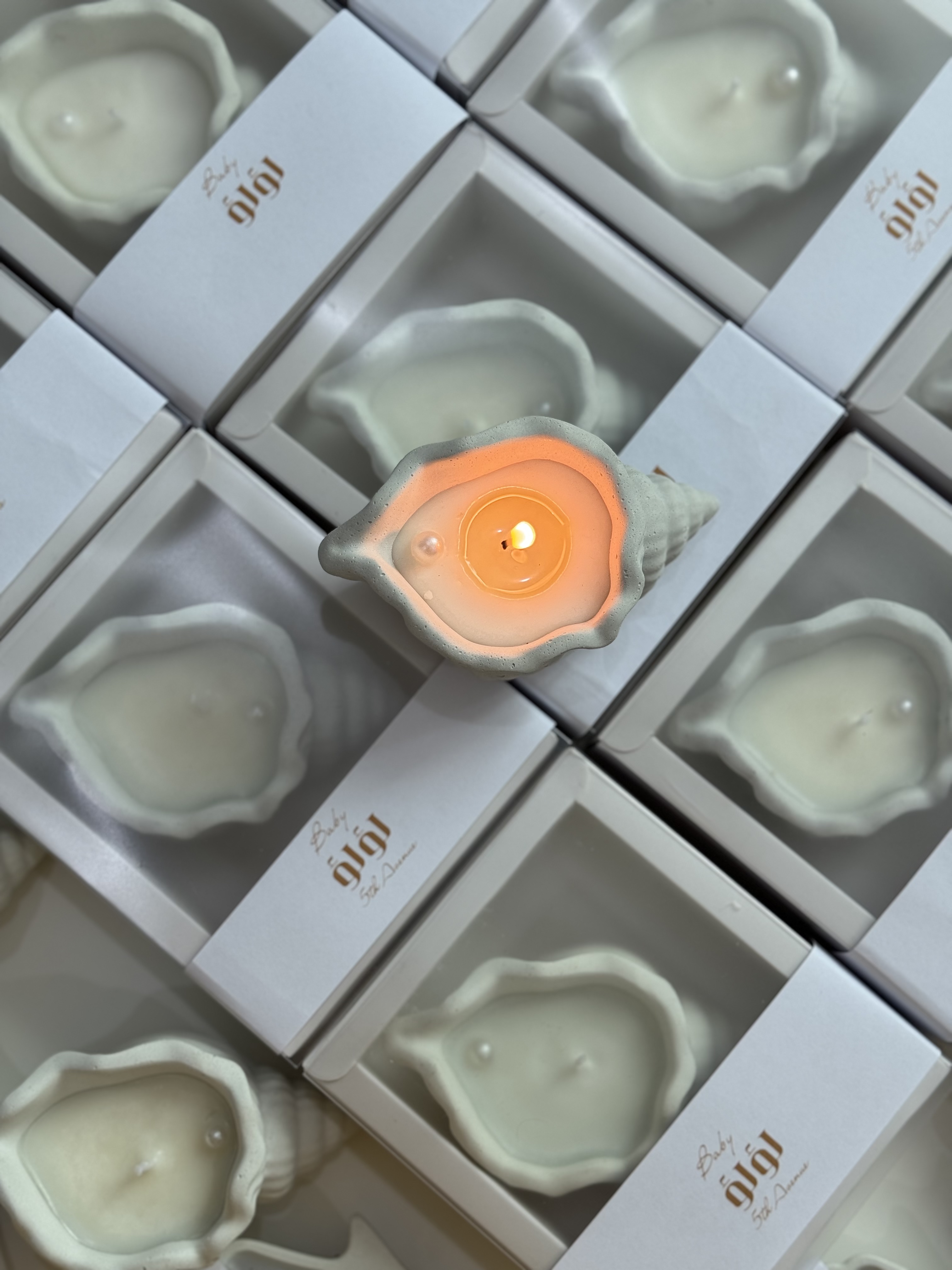 Seashell candle 